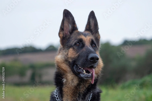 Obraz Landschaft im Herbst
