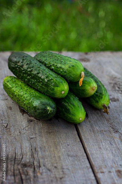 Obraz cucumbers