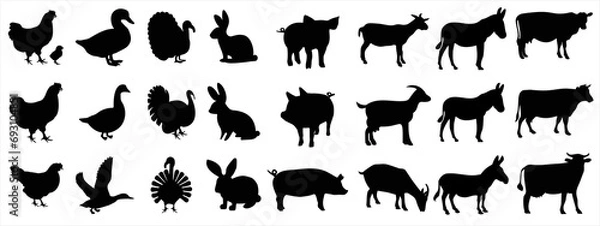Obraz Farm animals vector set illustration