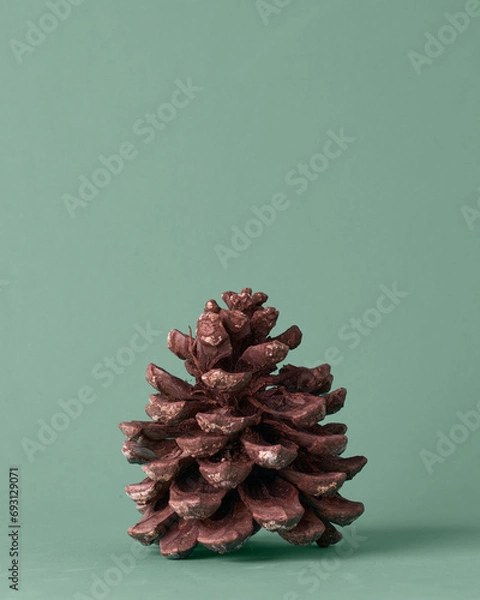 Obraz Closeup vertical photo shot of a pineapple on a light green background