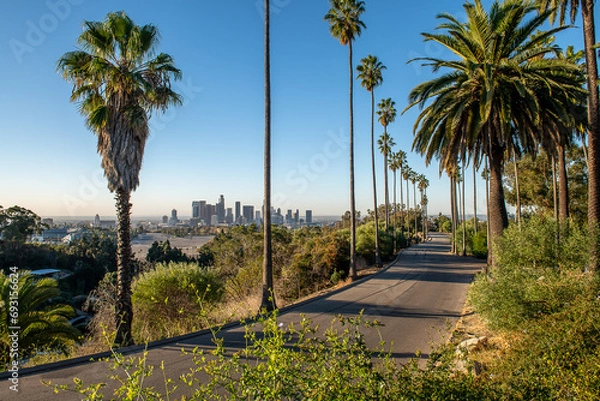 Obraz The Los Angeles skyline from Elysian Park