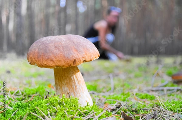 Fototapeta Pilze suchen