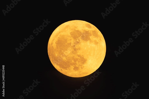 Obraz Super strawberry moon, reddish full moon on a summer night.