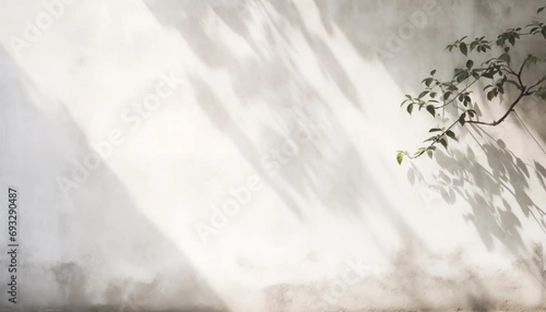 Obraz 白い壁と植物の影。AI生成画像