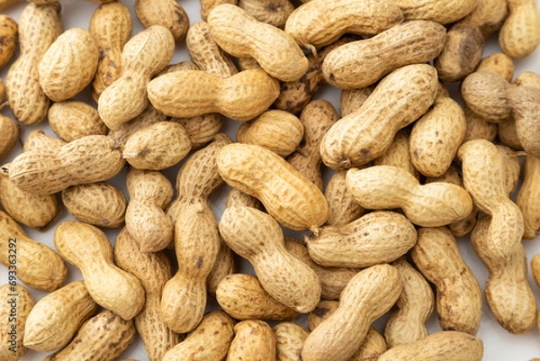 Fototapeta 落花生　白背景