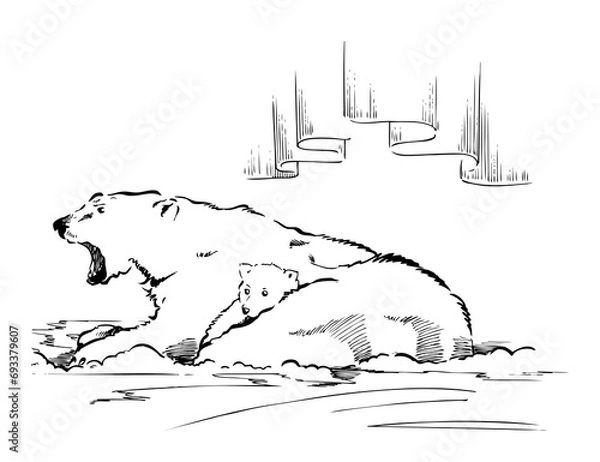 Obraz シロクマ　線画