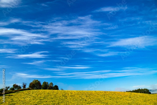 Obraz しがらきと青空