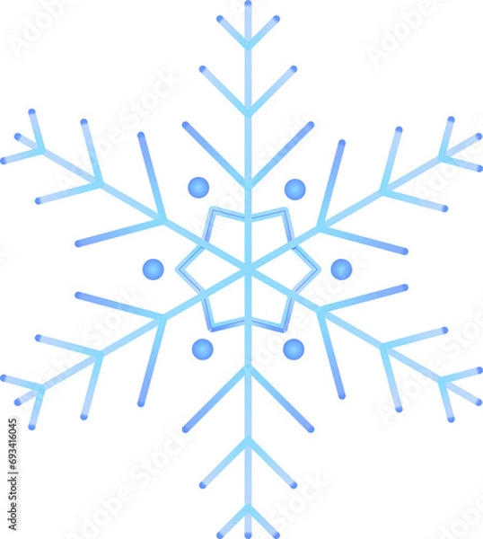 Fototapeta snowflake