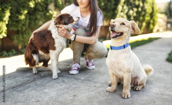 Obraz Pawsitively Empowered: Female Dog Trainer with Her Dynamic Duo