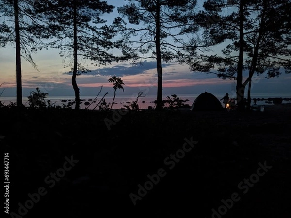 Obraz night landscape in the forest against the backdrop of a sea of beautiful sky and a tent with a fire