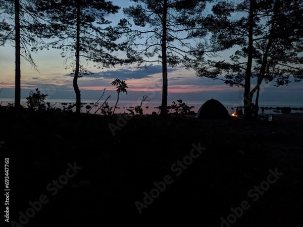 Obraz night landscape in the forest against the backdrop of a sea of beautiful sky and a tent with a fire