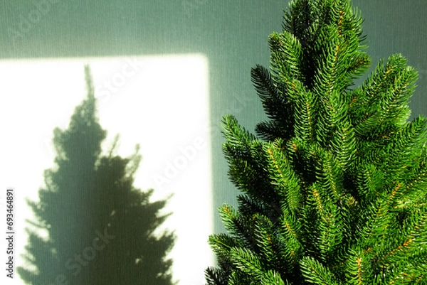 Fototapeta Green Christmas tree and a shadow on the wall. Beautiful Christmas background. Lush green spruce with beautiful long needles. New Year background. Close-up. Natural nature. Holiday event. Abstract