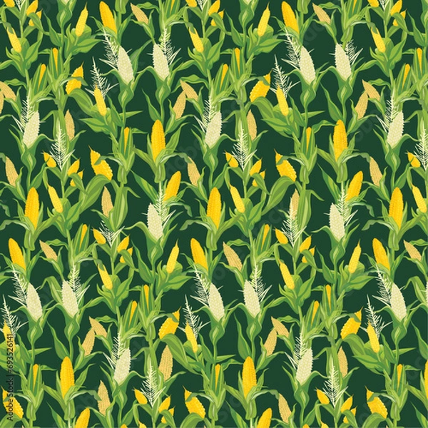 Obraz seamless pattern of corn