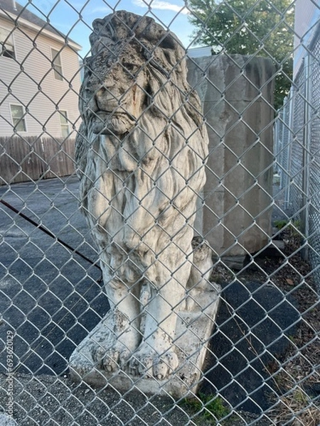 Fototapeta stone lion fenced