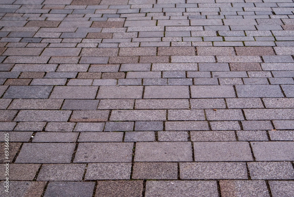 Fototapeta gray paving slabs