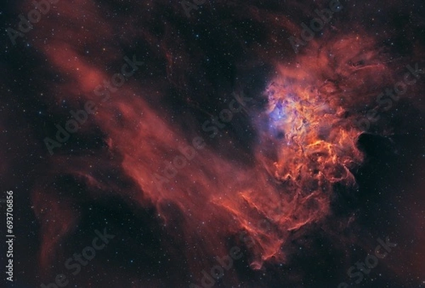 Obraz The Flaming Star Nebula