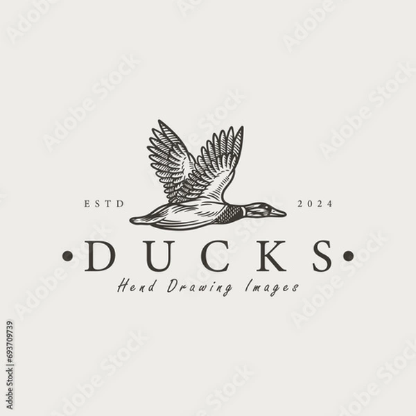 Fototapeta hand drawn vintage duck template logo
