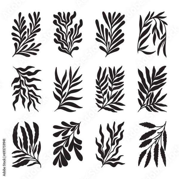 Fototapeta Set of abstract leaves vector 