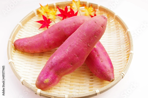 Fototapeta さつまいも