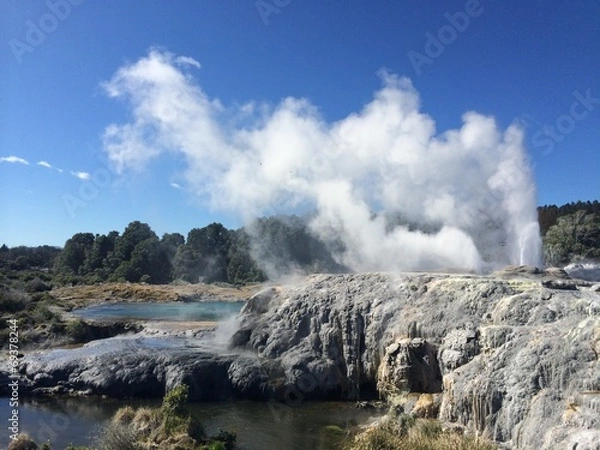 Obraz a natural geyser in te puia new zealand