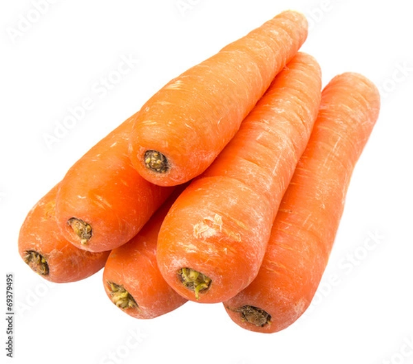 Obraz Carrot over white background