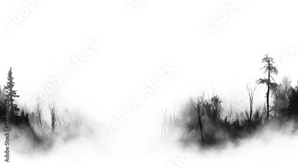 Fototapeta Spooky fog overlays isolated on transparent background.