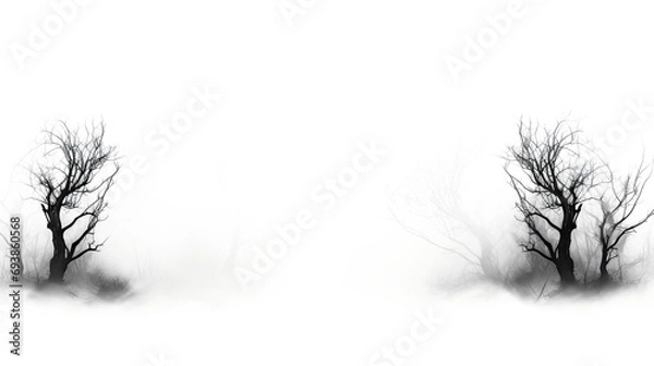 Fototapeta Spooky fog overlays isolated on transparent background.