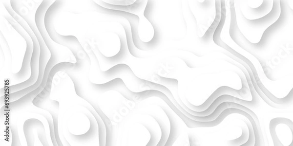 Fototapeta Abstract wavy line 3d paper cut white background. Topographic canyon geometric map relief texture with curved layers and shadow. Abstract realistic papercut decoration textured with wavy lines	
