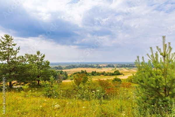 Obraz Rural scenery, view of meadows, farmlands, hills, forest, clumps of bushes