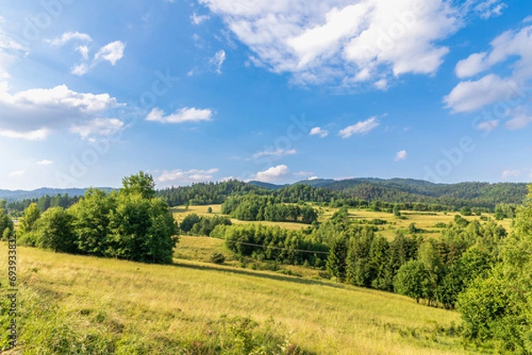 Obraz Beautiful landscape in the Pieniny Mountains, trail from the Homole gorge to Wysoka