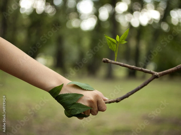 Obraz Kochaj naturę