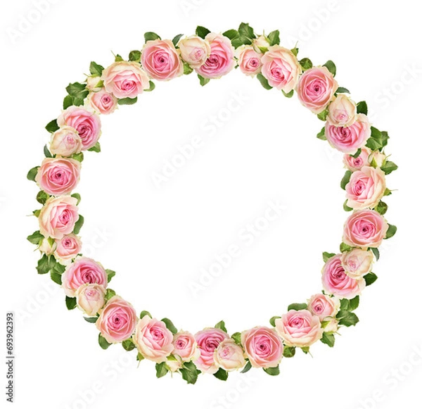 Fototapeta Small pink rose flowers in a floral round frame isolated on white or transparent background