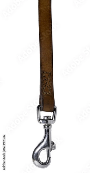 Obraz Tan Leather Dog Lead