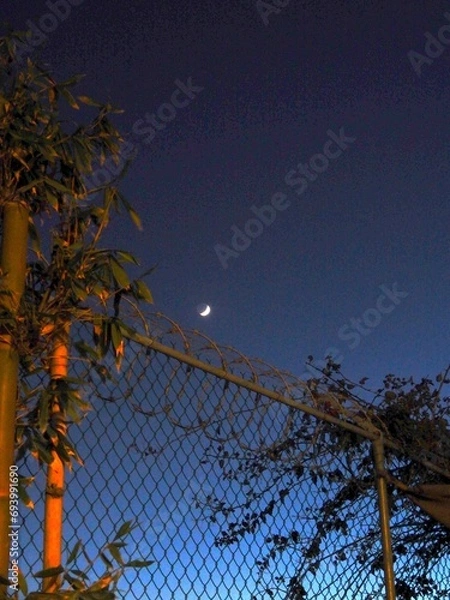 Fototapeta Luna distante