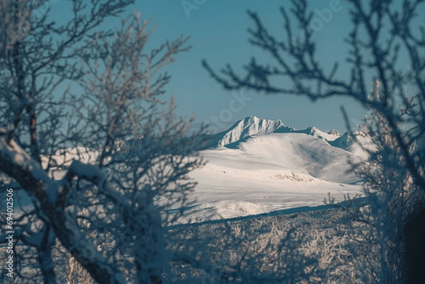 Obraz Mountain in wintercolors. 