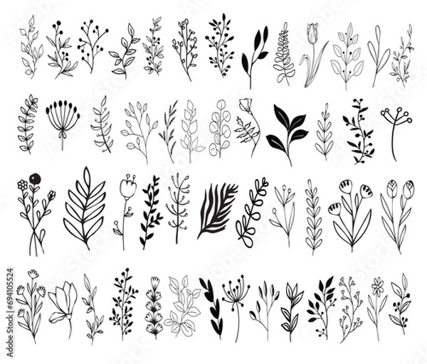 Obraz set o Leaves vector ,Leaves clipart