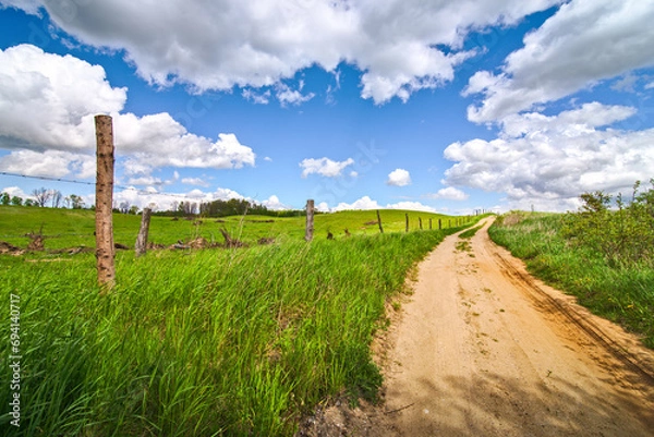 Obraz Droga wiejska latem przestrzeń