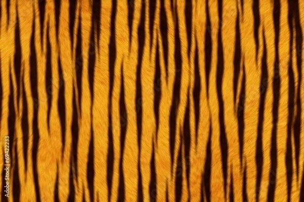 Obraz Fur Animal Textures, Tiger small