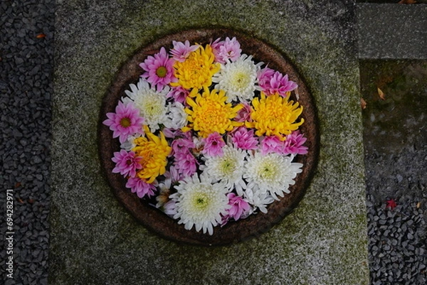 Fototapeta 花手水