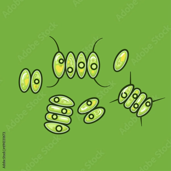 Obraz Desmodesmus and Scenedesmus are a genus of green microalgae, vital for aquatic ecosystems. Its diverse species contribute to nutrient cycling and have biotechnological potential.