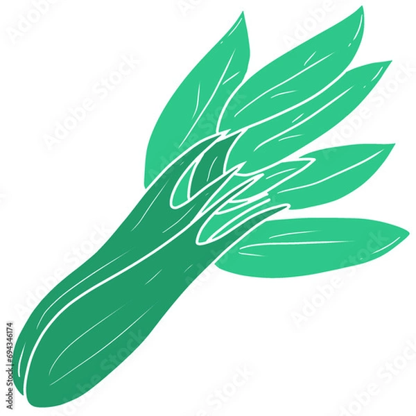 Fototapeta illustration of Kale