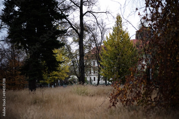 Fototapeta ヴロツワフの秋