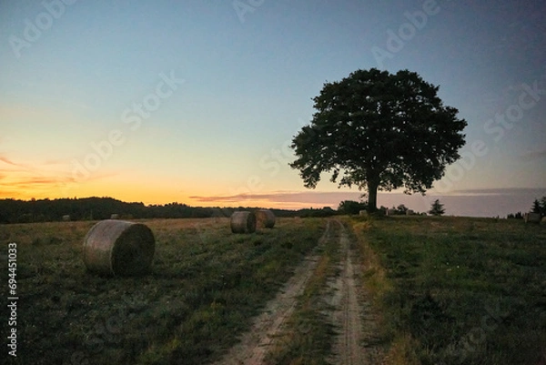 Fototapeta sunset over the field