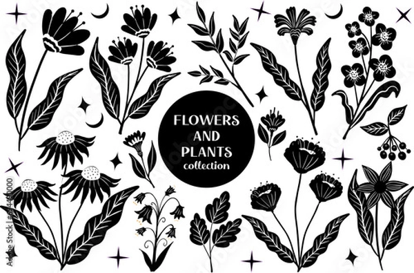 Fototapeta Set of black abstract flowers and leaves.botanical linocut plant and organic elements, herbs print. vector illustration.