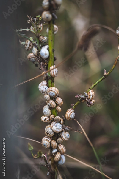 Obraz Celle,  18.12.2023