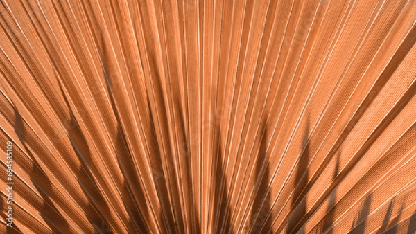 Fototapeta Close up peach fuzz color palm leaf. Peach fuzz Color of the year 2024. Close up palm leaf. Selective focus included