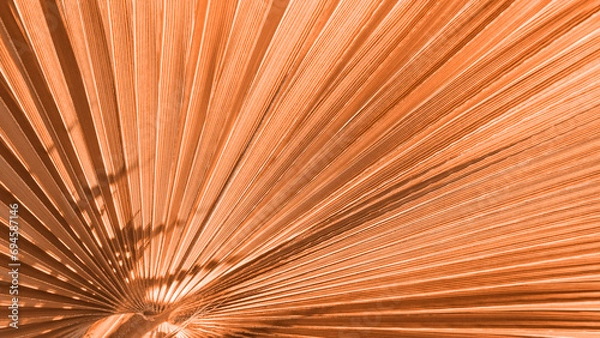 Fototapeta Close up peach fuzz color palm leaf. Peach fuzz Color of the year 2024. Close up palm leaf. Selective focus included