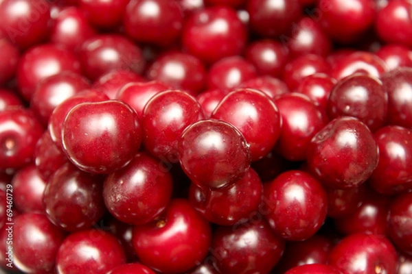 Fototapeta saure Kirschen