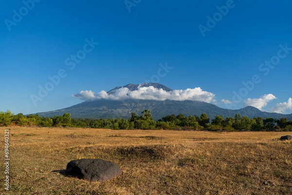 Fototapeta Savannah in Bali with a view of the Agung volcano. Indonesia