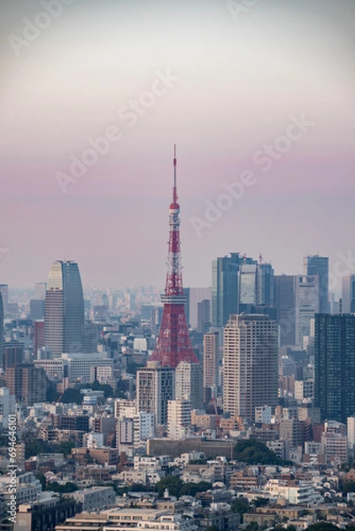 Obraz 東京タワー